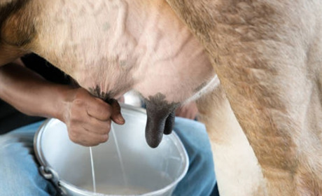 Оподаткування особистих коштів, знищення ФОПів: які ще урядові подарунки чекають на українців