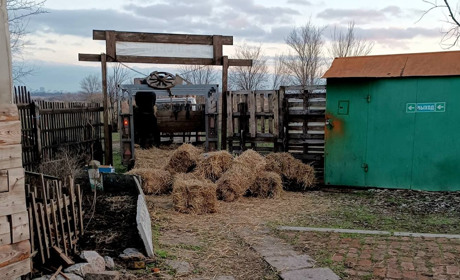 «Придбали 70 тюків сіна!»: Тетяна Лобода про підтримку ранчо «Біла підкова» внесками людей