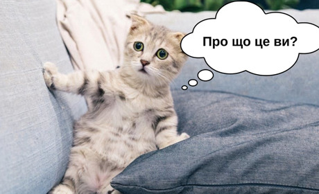 Чому мова ходити не може, а думки аж збігаються?