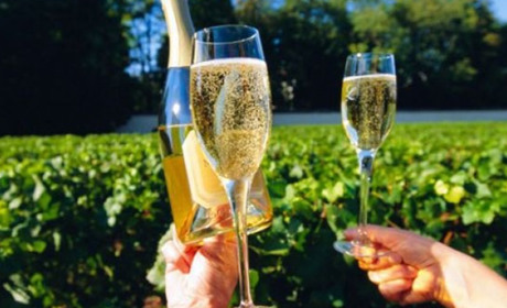 Виноробів з Овідіополя оштрафували майже на 1 млн за недозволену назву