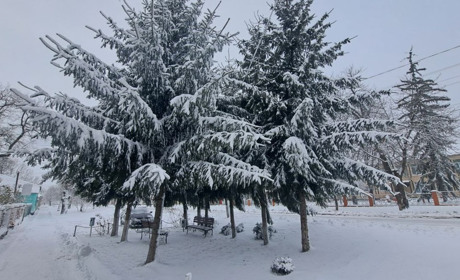 Морози та снігопади: Гідрометцентр попереджає про негоду
