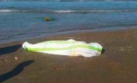 Убийство на берегу Дуная: школьница сожгла подружку за кражи
