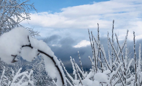 Погода в Кагарлику та Ржищеві на тиждень - з 8 по 14 січня