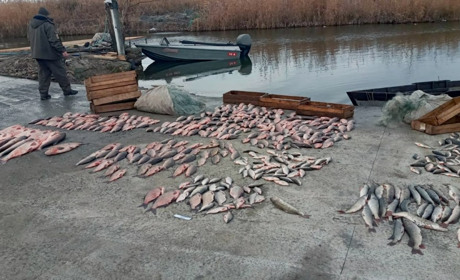 На Одещині браконьєри наловили риби на 1,5 млн грн: їх притягнуть до кримінальної відповідальності