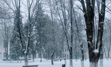 На Харківщині різко знизилась температура: яка погода очікує красноградців