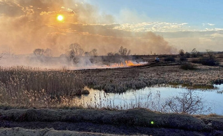 Екологи порахували. Російські війська завдали збитків довкіллю Луганщини на майже 500 млрд грн