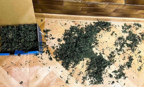 Розслідування триває: житель Сарненського району зберігав удома понад 700 грамів канабісу