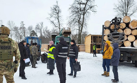 Поліція Чернігівщини викрила злочинну групу «чорних лісорубів»