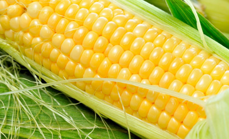 Ефективний гербіцид для кукурудзи післясходовий: обзор та рекомендації