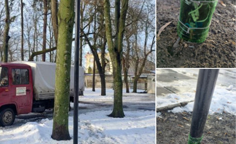 Електрики ліквідували пошкодження в одному з вуличних ліхтарів парку ім. Т.Шевченка