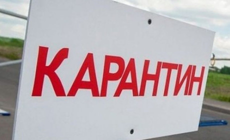 Випадок сказу у Гадячі: карантинні обмеження у місті, загроза для сіл на території ще двох громад