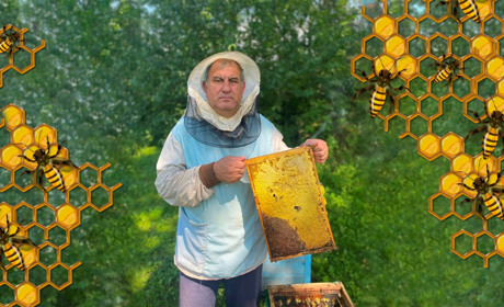 Пасічник Микола Дубина: «Мед подешевшав на третину, а коло бджіл робота є на цілий рік»