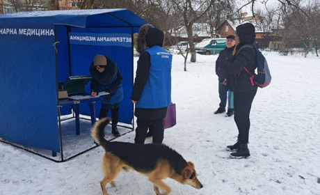 У Гадячі розпочалася вакцинація тварин від сказу. Як щепити свого домашнього улюбленця