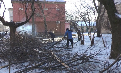 Деревопад. У Лозовій комунальники не встигають видаляти аварійні дерева