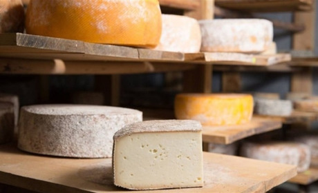 Що потрібно для сироваріння?