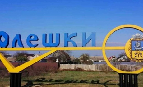 Історія жінки з Олешок: “Глянула у вікно, а там — розбитий град”