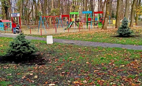 Чим сьогодні живе парк «Європейський» у Фастові: розмова з директоркою Ольгою Сіляк