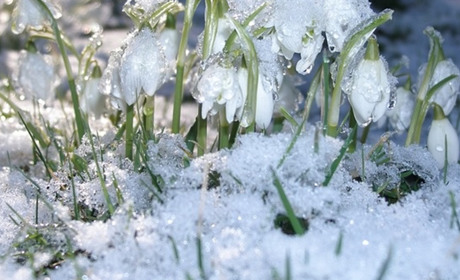 Календар державних та професійних свят на лютий 2024: що святкуватимемо та коли відпочиватимемо