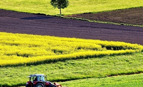 На Полтавщині найвища ціна на землю