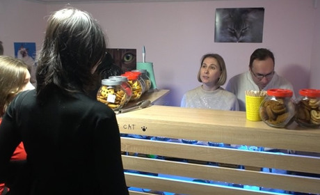 ”Прихистили тварин з прифронтових територій”. У Запоріжжі відкрилося котокафе