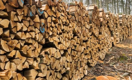 Мешканець Фастівщини наколов дров на суму понад 100 тисяч гривень