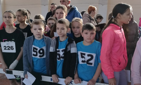 Барські спортсмени отримали чудові результати під час змагань з вільної боротьби та легкої атлетики