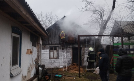 У Звягелі горіла господарська будівля з сіном та дровами — вогнеборці врятували будинок поруч