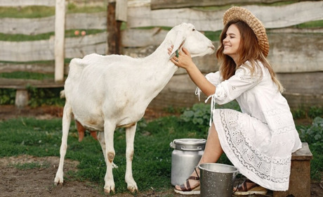 Аграрії можуть отримати виплати від 20 тис грн за худобу