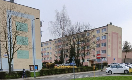 Наші за кордоном: “Я хотіла бути незалежною від соціальних виплат”