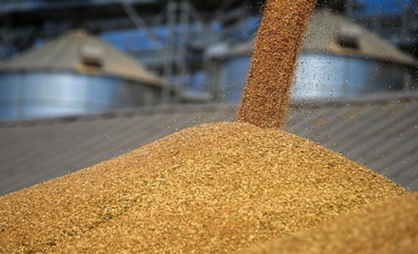 Дефіцит обігових коштів та працівників — основні виклики аграріїв з Херсонщини