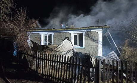 Пожежу гасили два відділення вогнеборців. У селі Скіпче горів будинок