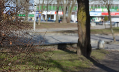 Прогноз погоди 19-25 лютого у Золотоноші: не дайте примхливій зимі вас здивувати