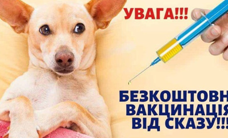 У Золотоноші домашніх тварин безкоштовно щепитимуть від сказу: куди звертатися?