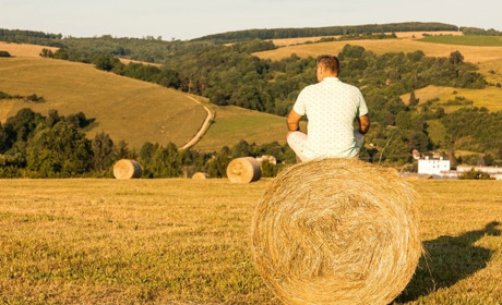 Верховна Рада запровадила новий вид кредитування сільського господарства