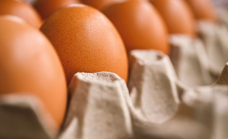 В Україні будуть по-новому продавати курячі яйця: як зміняться вимоги