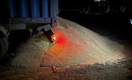 На Одещині невідомі висипали з вантажівки 5 тонн зерна: його везли на експорт