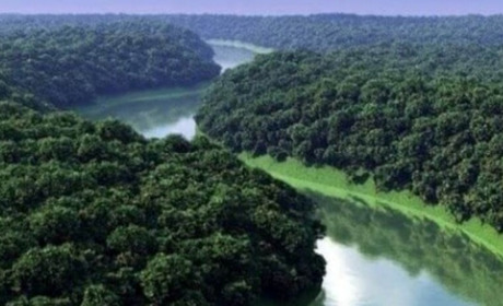 СТОРІНКАМИ ЕКОЛОГІЧНОГО КАЛЕНДАРЯ