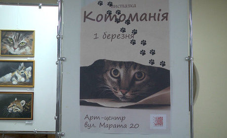 У Шостці відзначили Міжнародний день котів