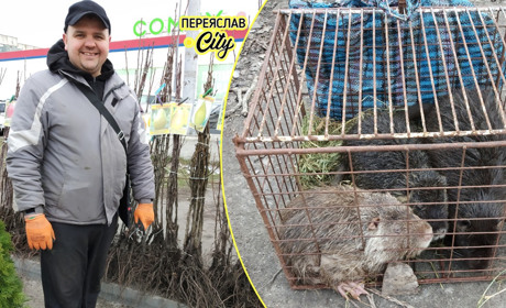 На базарі в Переяславі вже продають саджанці дерев, і "в добрі руки" роздають навіть нутрій