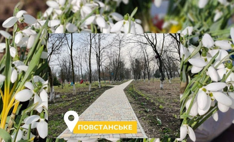 У Повстанському з'являється алея підсніжників. Це ідея мешканців, її можна підтримати квітами