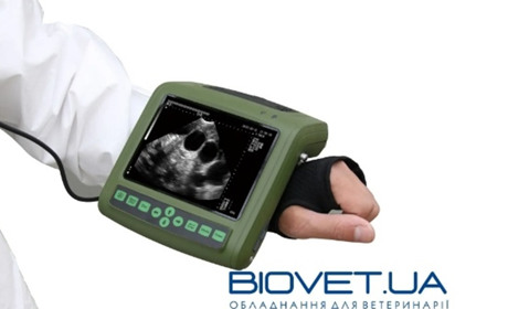 Ремонт УЗД сканерів та датчиків для ветеринарії від компанії Biovet