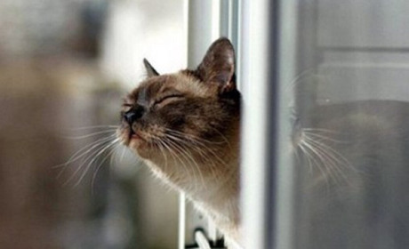 Погода на Кагарличчині та Ржищівщині на вихідні 9 і 10 березня