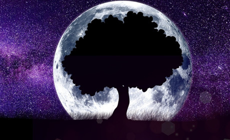 Гороскоп на тиждень