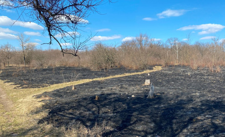 За стадіоном у Жовтих Водах вигоріли гектари угідь: відео