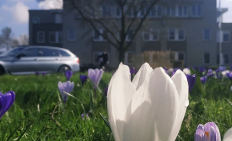 Дощ та мокрий сніг. Погода у Гадячі на тиждень