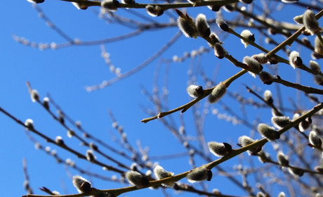 Погода у Старокостянтинові на 11-17 березня: синоптики прогнозують вітер