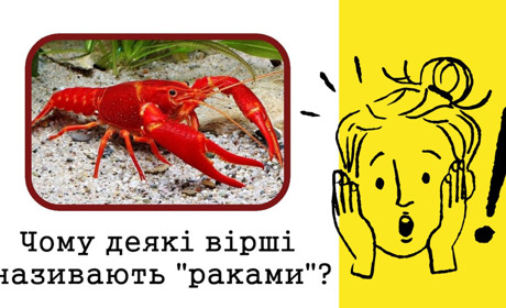 Розкриваємо таємниці мовних паліндромів