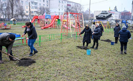 Будуть гратися та відпочивати в тіні: в середмісті Кагарлика з’явилася алея біля дитячого майданчика