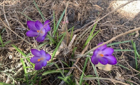 Погода в Кагарлику та Ржищеві на тиждень - з 18 по 24 березня