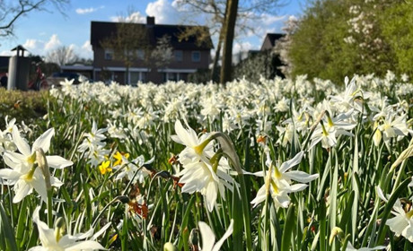 Погода на тиждень – на Гадяччині буде тепло та дощитиме